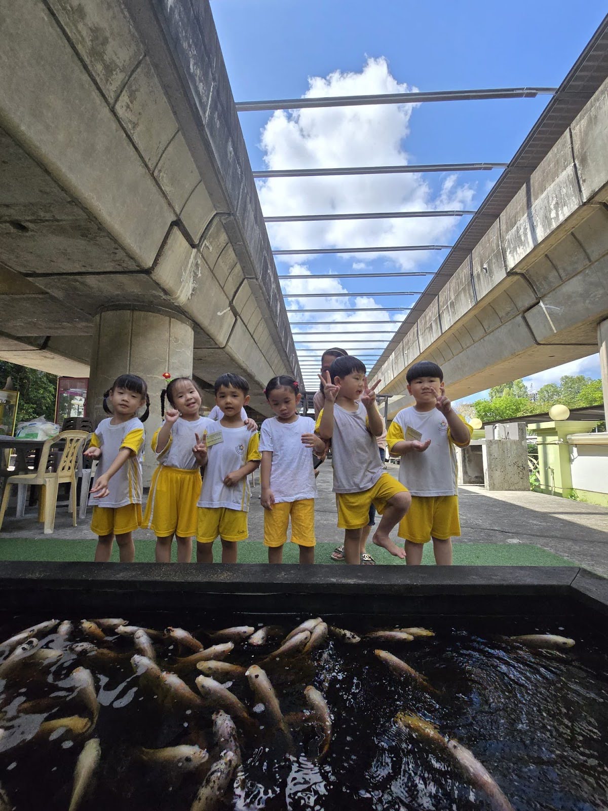 FISH@AMK